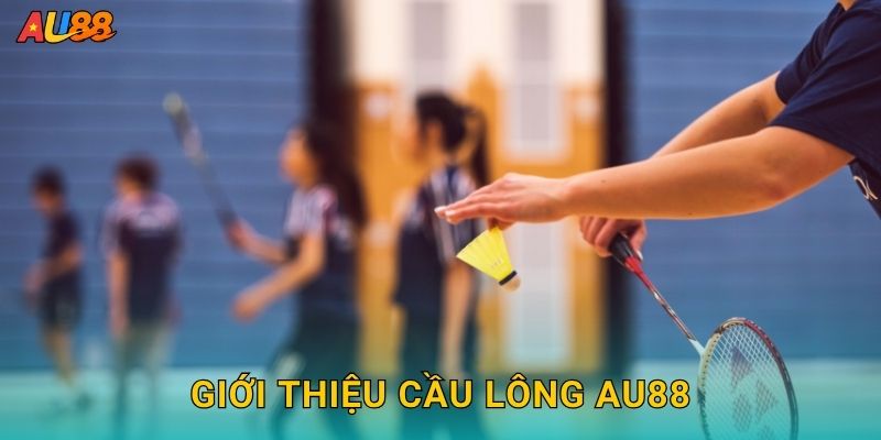 Giới thiệu Cầu lông Au88