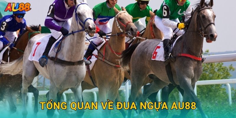 Tổng quan về Đua ngựa Au88
