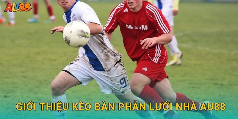Giới thiệu Kèo bàn phản lưới nhà Au88